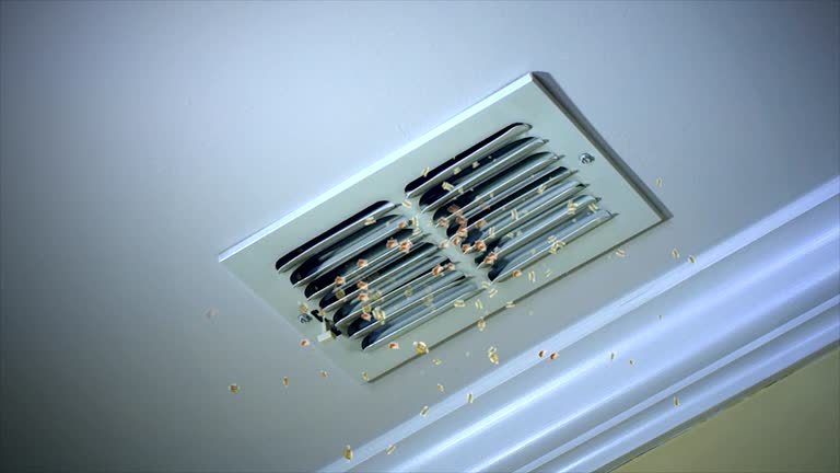 Best HVAC Air Duct Cleaning  in Auburn, CA