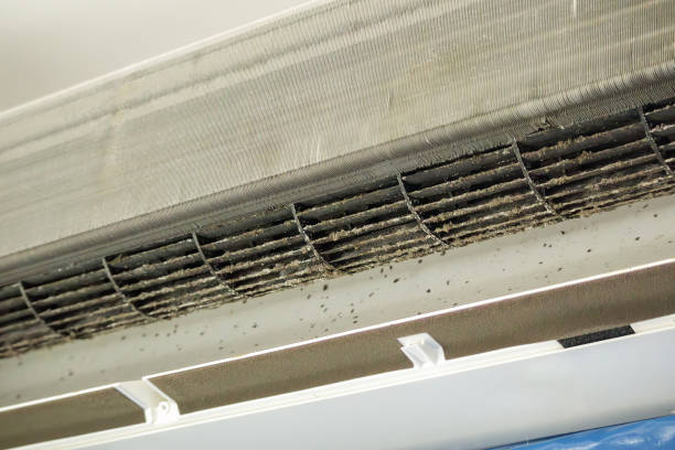 Best Commercial HVAC Duct Cleaning  in Auburn, CA